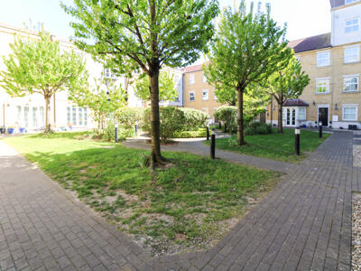 Picture 15